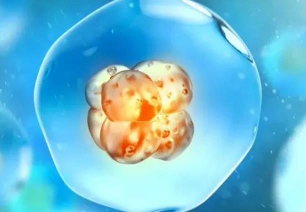 打促排卵针会有副作用吗，克罗米芬或来曲唑促排卵效果哪个更好