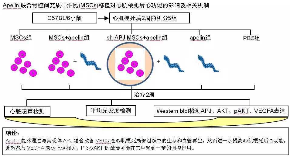 如何掌握原发骨弥漫大B细胞淋巴瘤的诊疗要点？