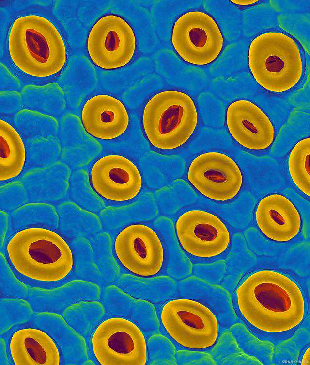 「免疫力」是最好的医生！“6种运动+5个方法”全面提升免疫力