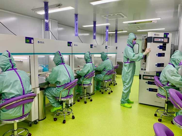 6种平价的养肝食物，给你的肝脏来次“大扫除”，养肝又护肝