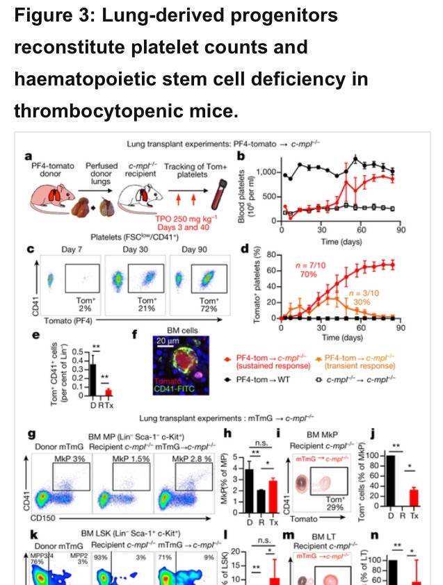 工作越认真越容易得？近30位明星因此逝世……