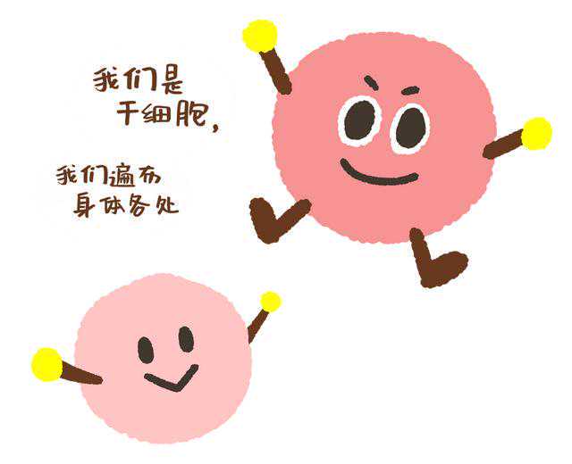 “代孕弃养”风波刷屏，其实还有这些科学合法的方式，迎接新生命