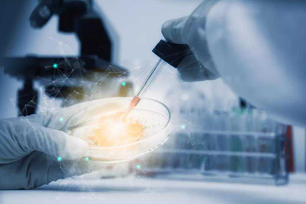 人造肉就是豆制品的魔改版吗？