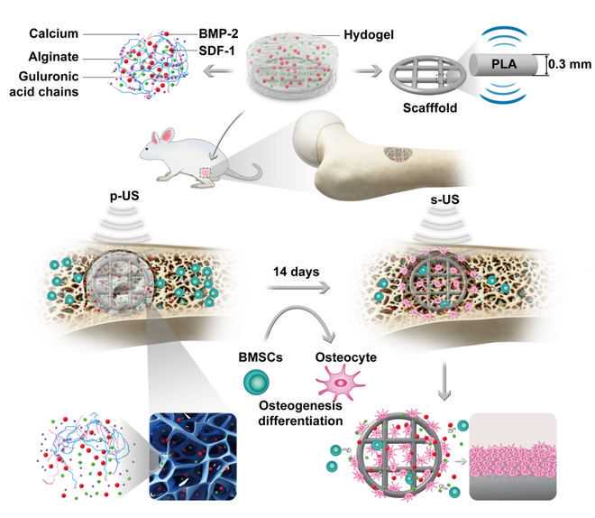 肝病专家姚新：肝坏死的治疗原则是什么
