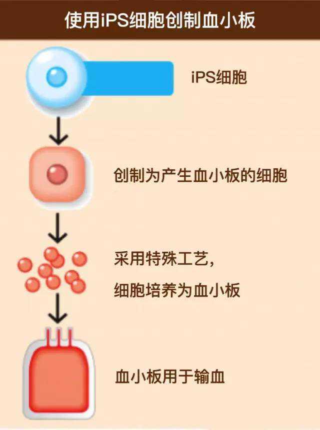 “人造肉”来了！一块59.5元，长沙市民有望9月在家门口买到