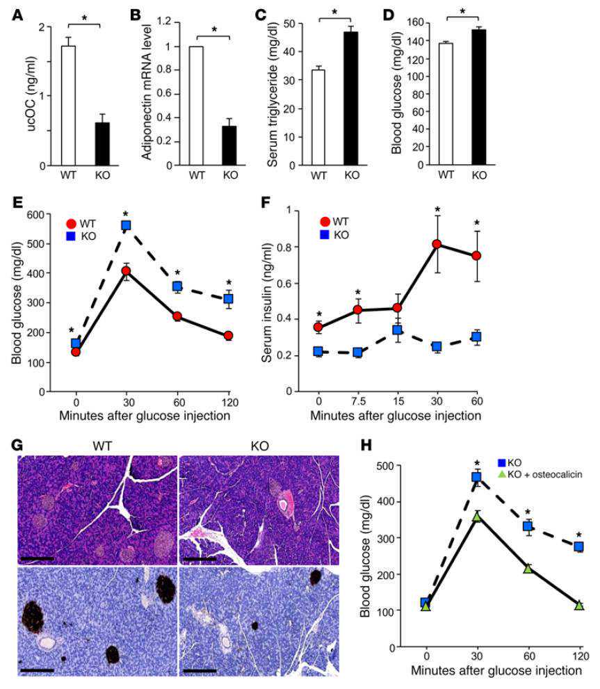 10年专研基底膜，珀莱雅源力精华3.0探索敏肌护肤新思路