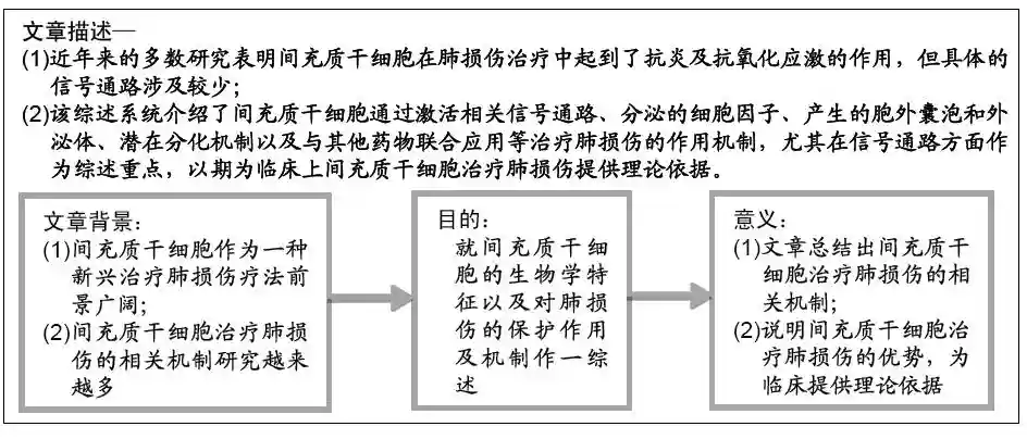 间充质干细胞治疗肺损伤的作用机制及研究进展