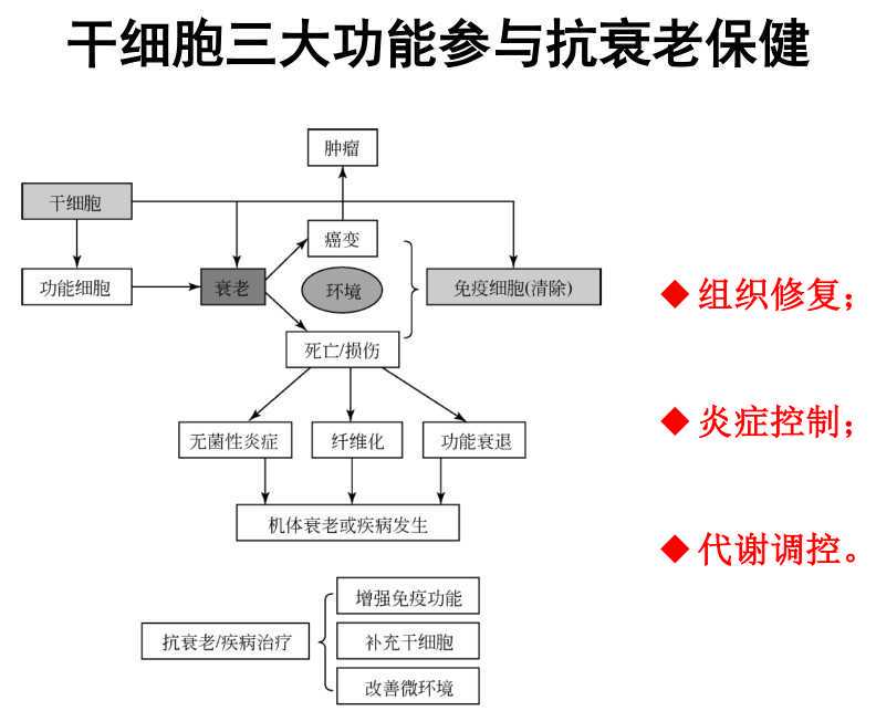 成功捐献造血干细胞、累计献血24次—— “95后”怀化小伙续写生命“奇迹”