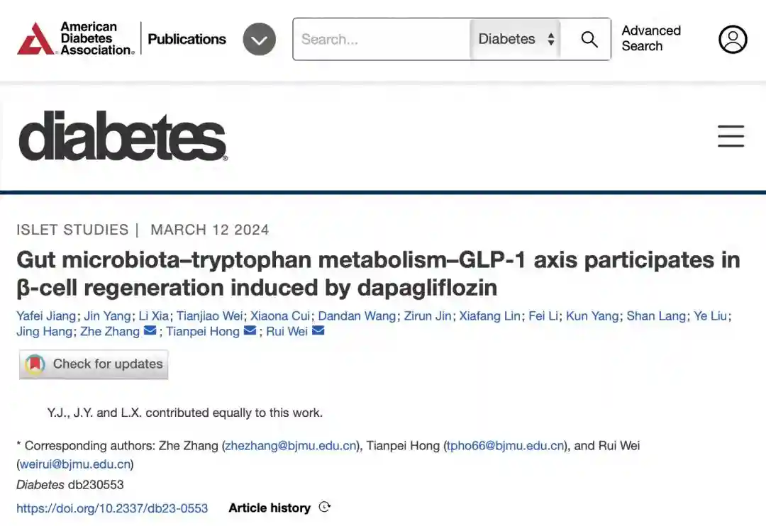北医三院魏蕊/洪天配/张哲研究团队在Diabetes发表胰岛β细胞再生机制研究最新成果