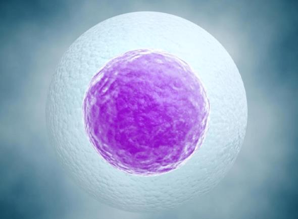 胚胎移植后如何让HCG翻倍好，这三个方法快来了解一下