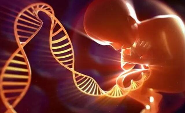 DMD基因携带的患者能做三代试管出健康的宝宝吗