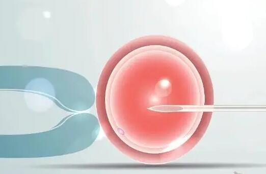 试管婴儿龙凤胎概率有多少做试管婴儿怀上龙凤胎需要注意些