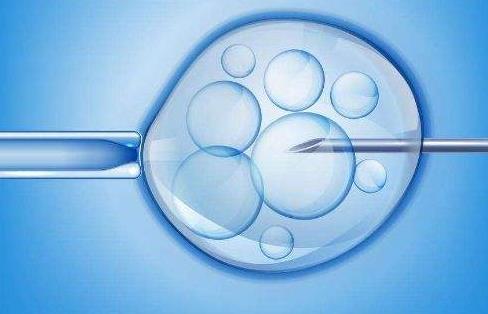 2024赠卵试管婴儿费用清单明细，附全国赠卵试管医院排名表